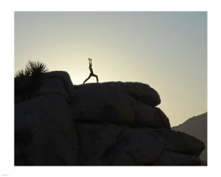 Joshua Tree - Yoga Warrior | Obraz na stenu