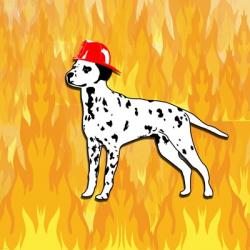 Firefighter Dog | Obraz na stenu