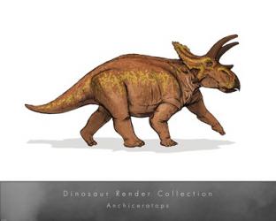 Anchiceratops | Obraz na stenu