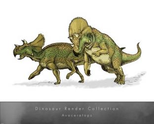 Avaceratops | Obraz na stenu