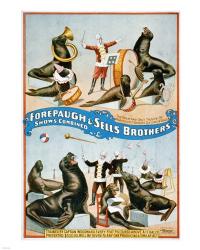 Forepaugh & Sells Brothers | Obraz na stenu