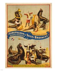 Sells Brothers Sea Lion Circus | Obraz na stenu