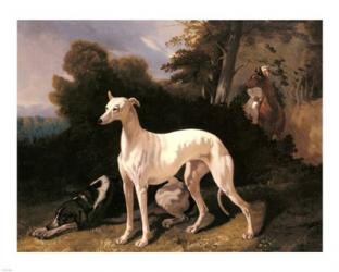 Alfred Dedreux - A Greyhound In An Extensive Landscape | Obraz na stenu
