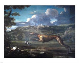 Pace, Michelangelo, Greyhound, rabbit, and the Castle of Ariccia | Obraz na stenu