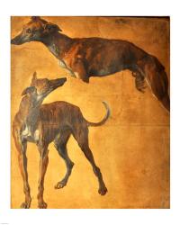 Study of Greyhounds | Obraz na stenu