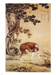 Ten Prized Dogs Chinese Greyhound | Obraz na stenu