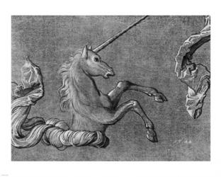 Baldung Unicorn Study | Obraz na stenu