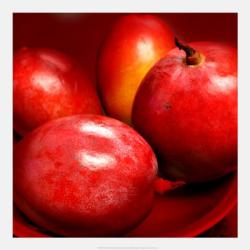 Red Mangoes | Obraz na stenu