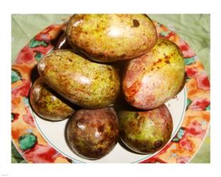 Casturi Mango Fruit | Obraz na stenu