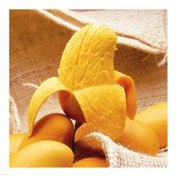 Mango fruit from Atoyac lands | Obraz na stenu