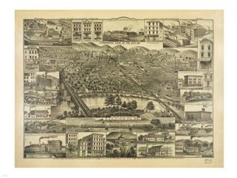 Topographic View of the City of Reading PA. 1881 | Obraz na stenu