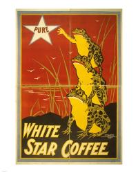 White Star Coffee Frogs | Obraz na stenu