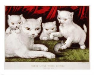 Three Little White Kitties | Obraz na stenu