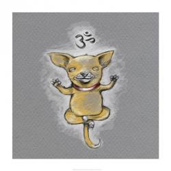 Enlightened Chihuahua | Obraz na stenu