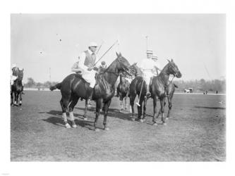 Polo Brown Lieut Palmes | Obraz na stenu