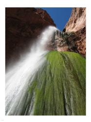 Lower Ribbon Falls off the North Kaibab Trail in the Grand Canyon | Obraz na stenu