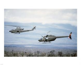 A left side view of an AH-1 Cobra helicopter, front, and an OH-58 Kiowa helicopter | Obraz na stenu