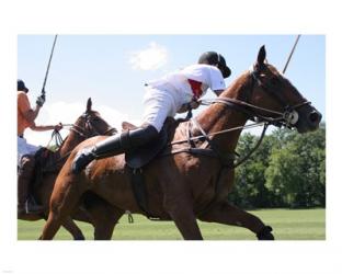 Polo nearside swing | Obraz na stenu