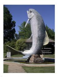 Adaminaby big trout | Obraz na stenu