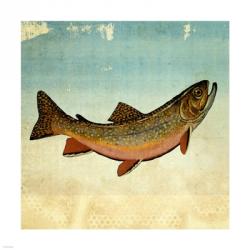 Brown Trout | Obraz na stenu