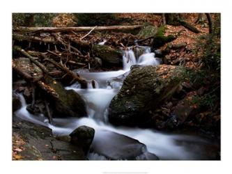 Autumn at Mt. Tammany | Obraz na stenu