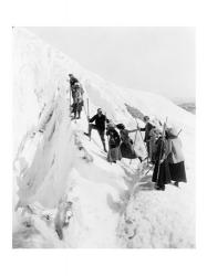 Group of men and women climbing Paradise Glacier in Mt. Rainier National Park, Washington | Obraz na stenu