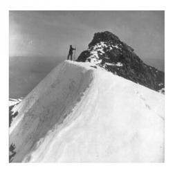 Washington - Mount Rainier Top of Gibralter Rock | Obraz na stenu