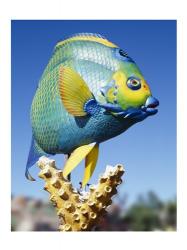 Fish carving, Florida Keys | Obraz na stenu