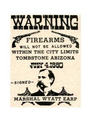 Firearms Warning Poster | Obraz na stenu
