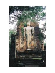 Standing Buddha Wat Phra Si Iriyabot | Obraz na stenu