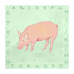 Pig Alphabet | Obraz na stenu