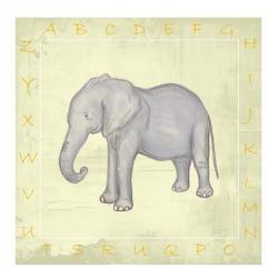 Elephant Alphabet | Obraz na stenu