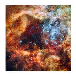 A Hubble Space Telescope image of the R136 Super Star Cluster | Obraz na stenu