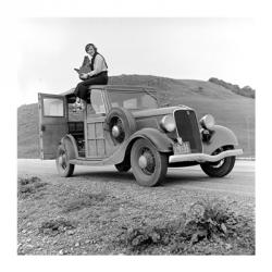 Dorothea Lange, 1936 | Obraz na stenu