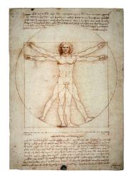 Vitruvian Man | Obraz na stenu