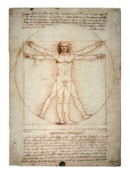 Vitruvian Man | Obraz na stenu