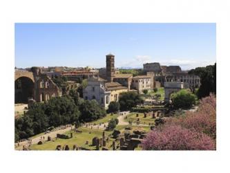 Look from Palatine Hill Francesca Romana, Arch of Titus and Colosseum, Rome, Italy | Obraz na stenu