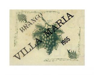 Casteletes label wine, Villa Maria | Obraz na stenu