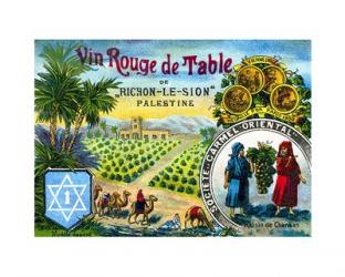 Red table wine from Rishon de Zion Palestine | Obraz na stenu