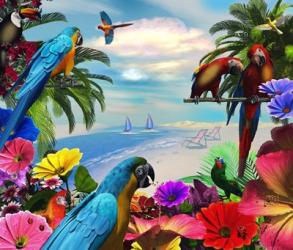 Macaw Island | Obraz na stenu