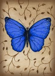 Blue Butterfly | Obraz na stenu
