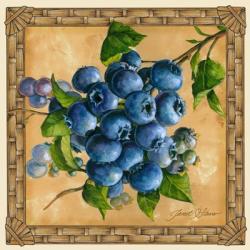 Blueberries | Obraz na stenu