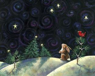 Christmas Sky | Obraz na stenu