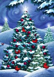 O Christmas Trees | Obraz na stenu
