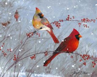 Winter Cardinals | Obraz na stenu