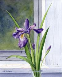 Blue Flag-Wild Iris | Obraz na stenu
