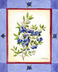 Blueberries | Obraz na stenu