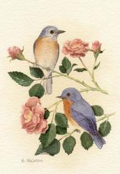 Bluebird I | Obraz na stenu