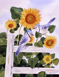 Bluejays And Sunflowers | Obraz na stenu