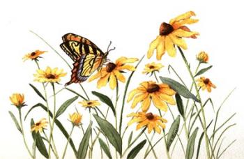 Butterfly & Black Eyed Susans | Obraz na stenu